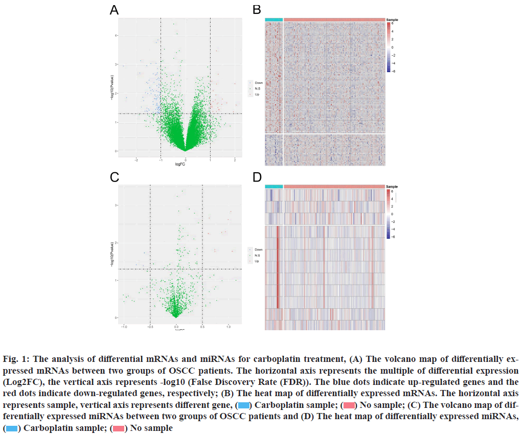 IJPS-analysis