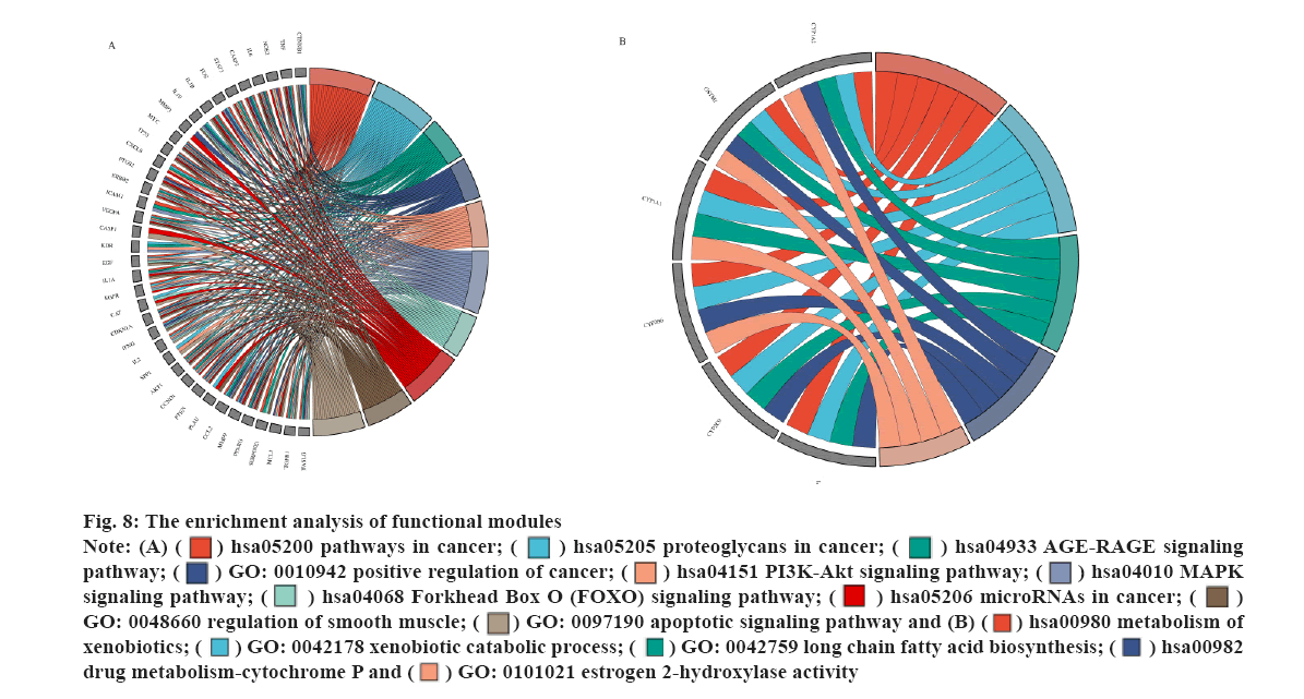 IJPS-analysis