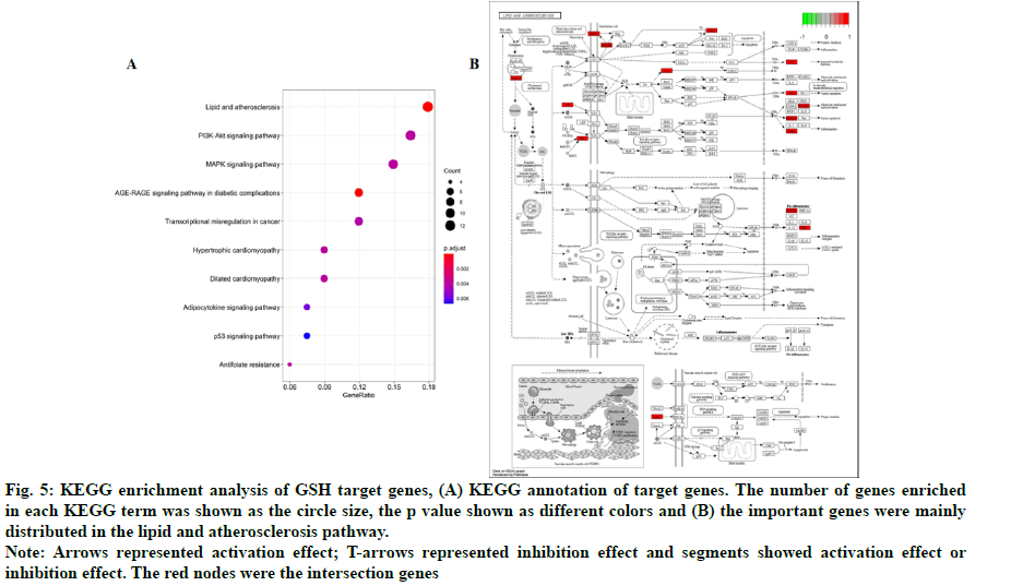 IJPS-annotation