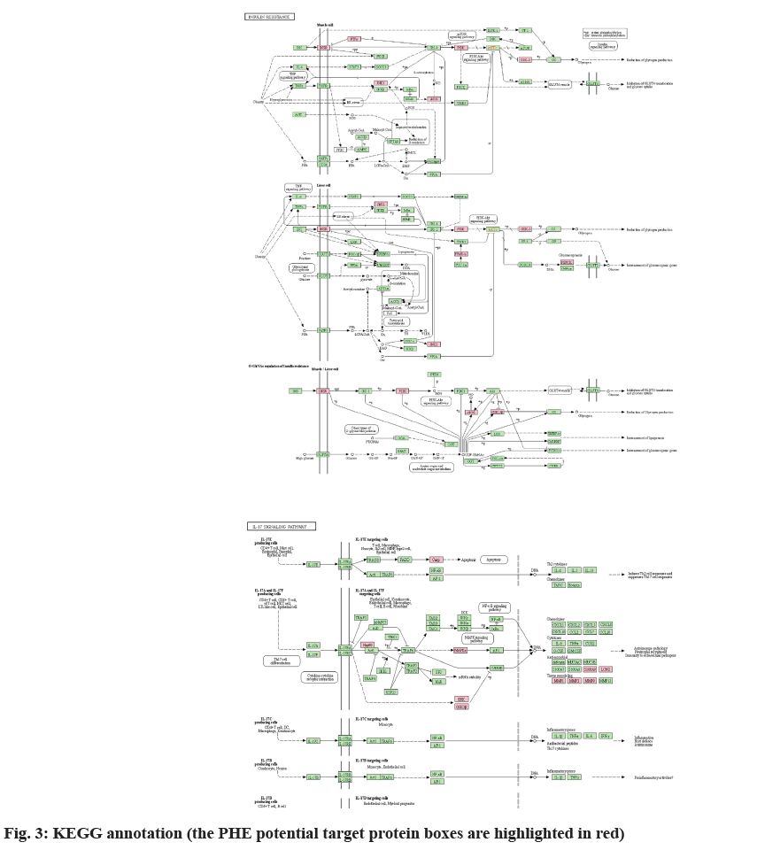 IJPS-annotation