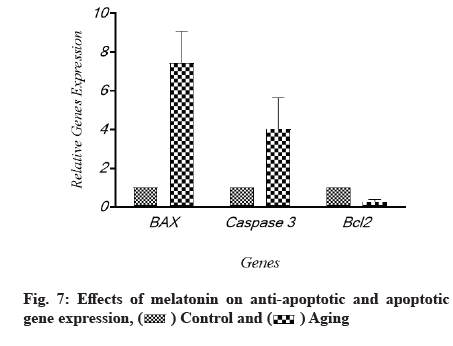 IJPS-anti-apoptotic