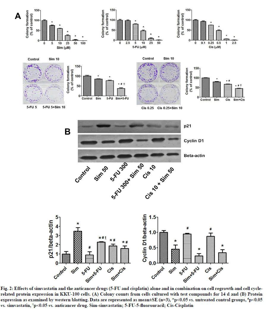 IJPS-anticancer