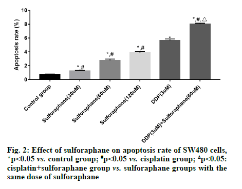 IJPS-apoptosis