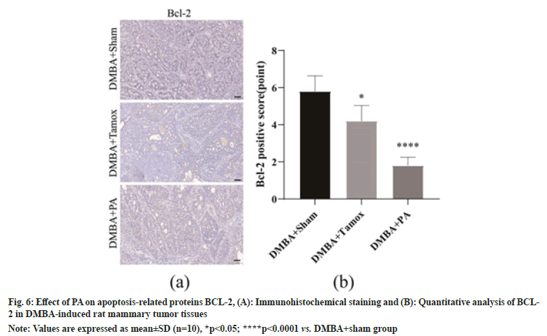 IJPS-apoptosis