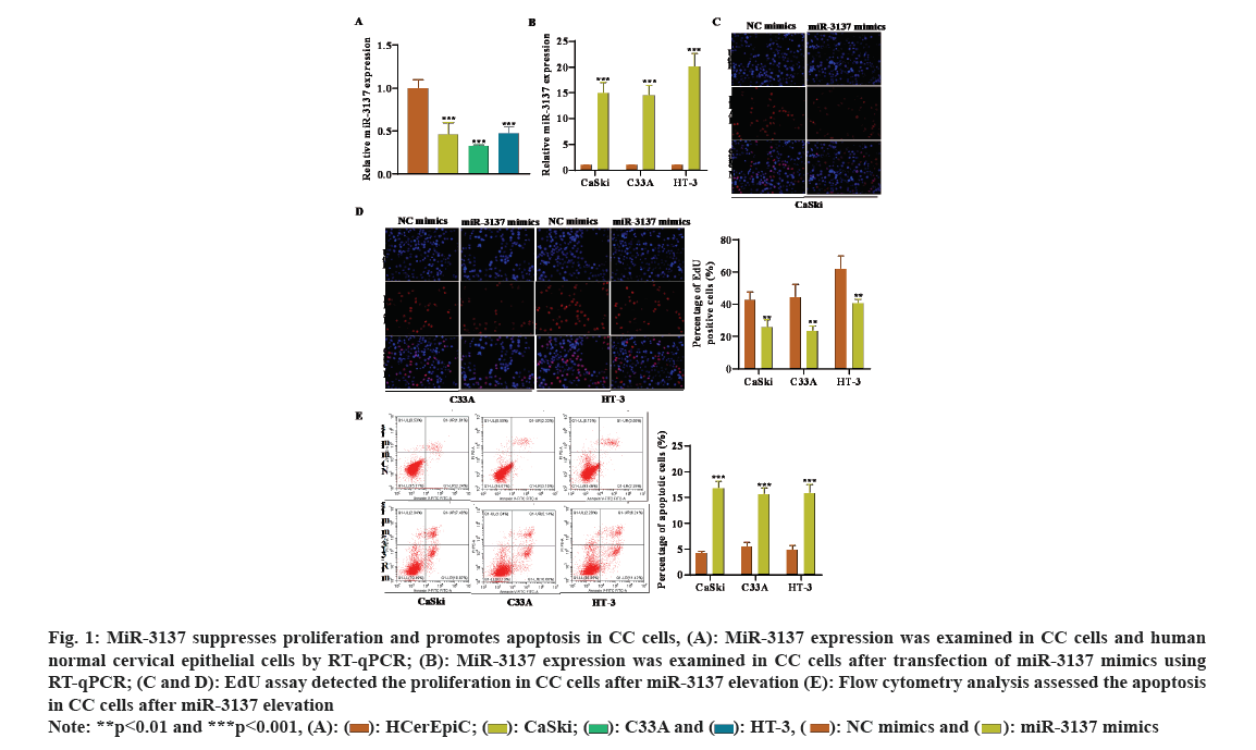 IJPS-apoptosis