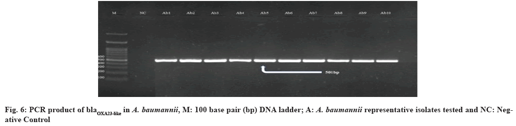 IJPS-base