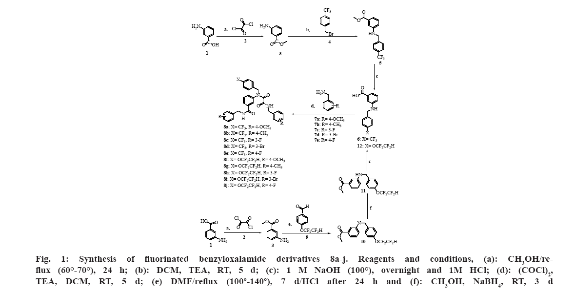 IJPS-benzyloxalamide