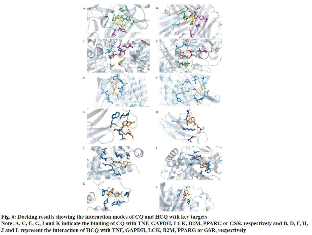 IJPS-binding