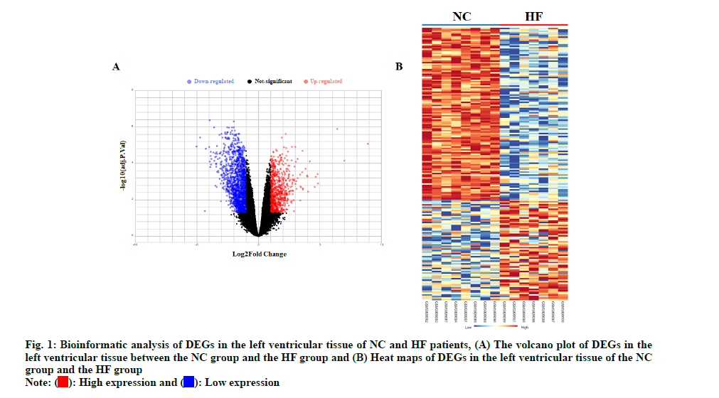 IJPS-bioinformatic