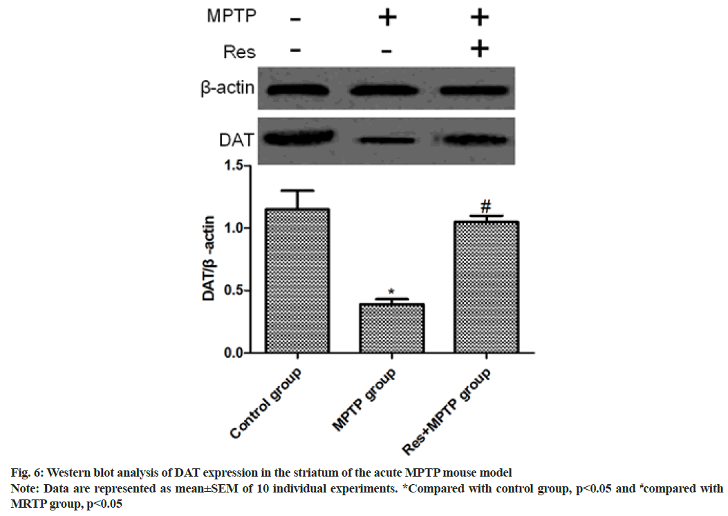 IJPS-blot