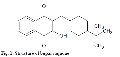 IJPS-buparvaquone