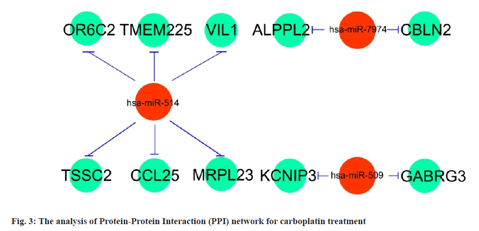 IJPS-carboplatin