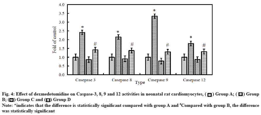 IJPS-cardiomyocytes