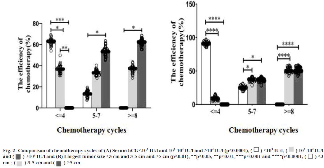 IJPS-chemotherapy