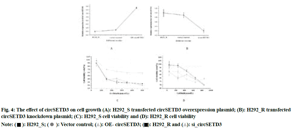 IJPS-circSETD3-on