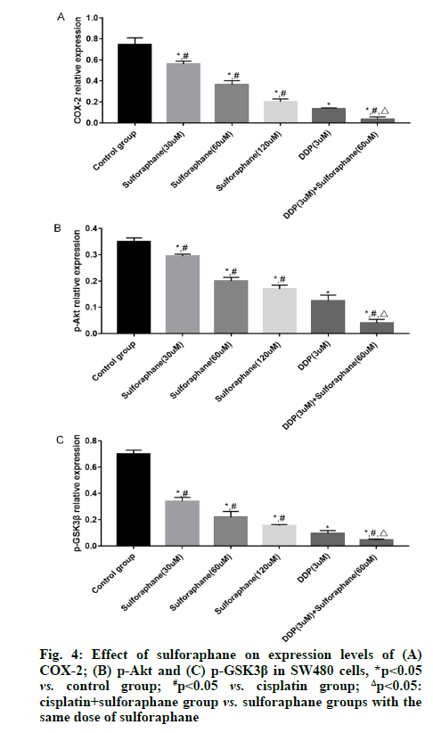 IJPS-cisplatin