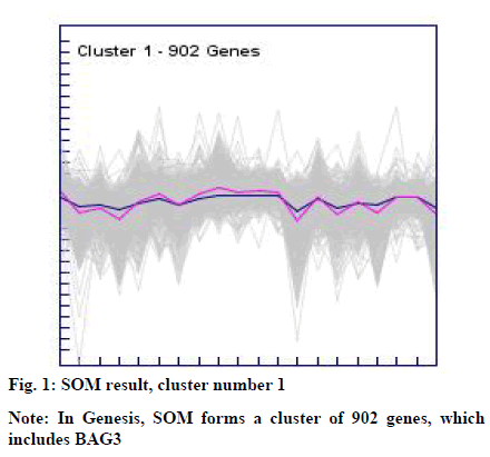 IJPS-cluster