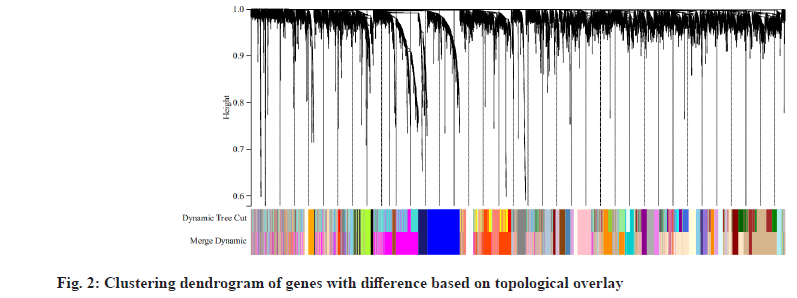 IJPS-clustering