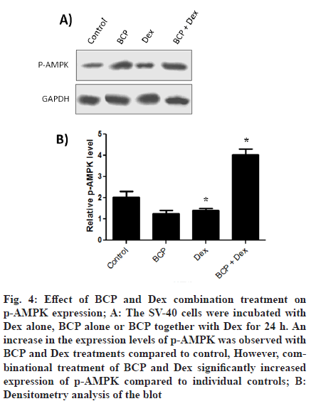 IJPS-combination