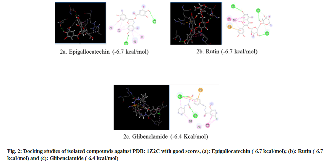 IJPS-compounds