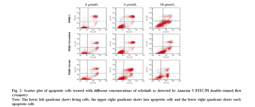 IJPS-concentrations