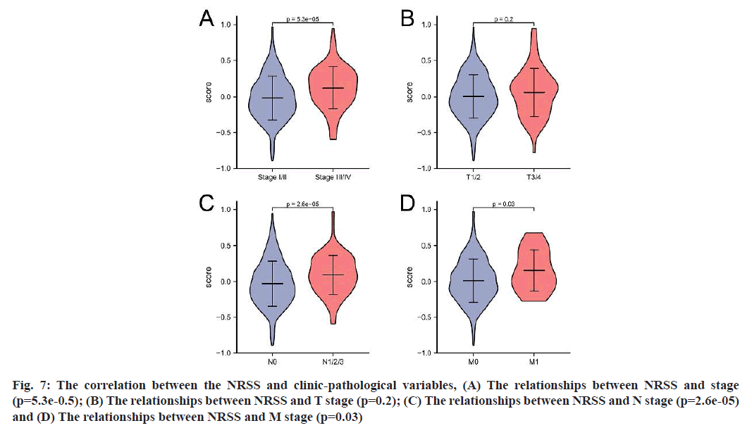 IJPS-correlation