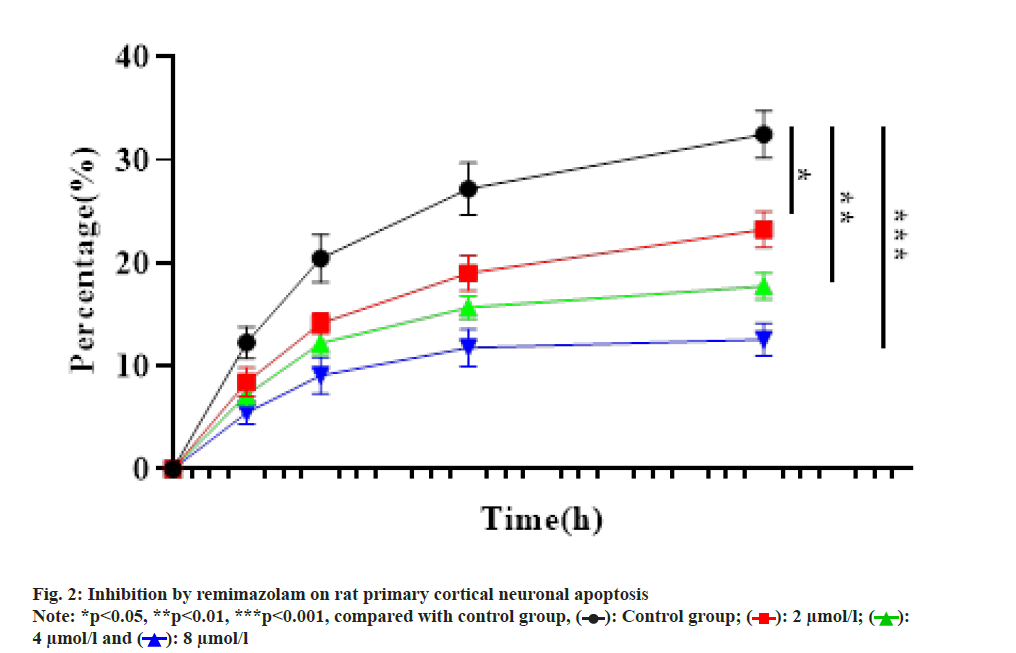 IJPS-cortical