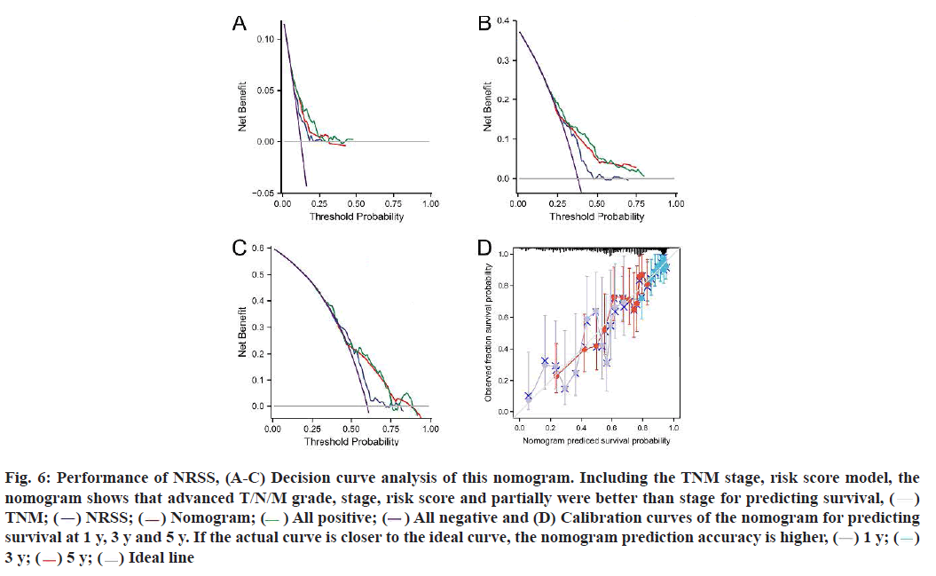 IJPS-curve