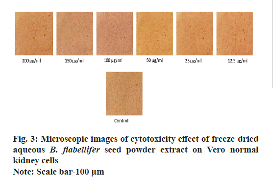 IJPS-cytotoxicity