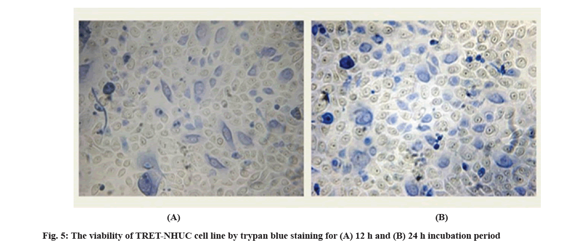 IJPS-cytotoxicity