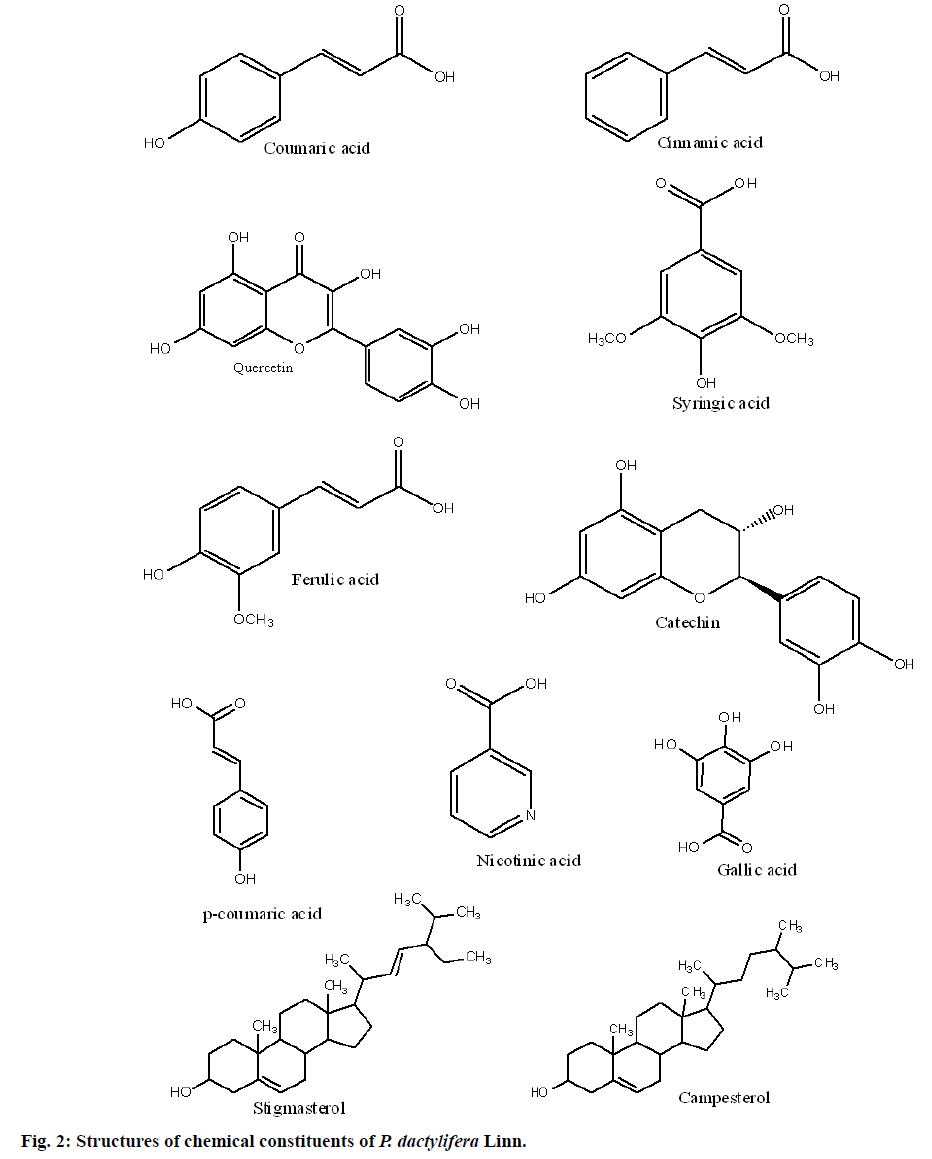 IJPS-dactylifera