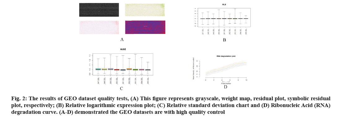 IJPS-dataset