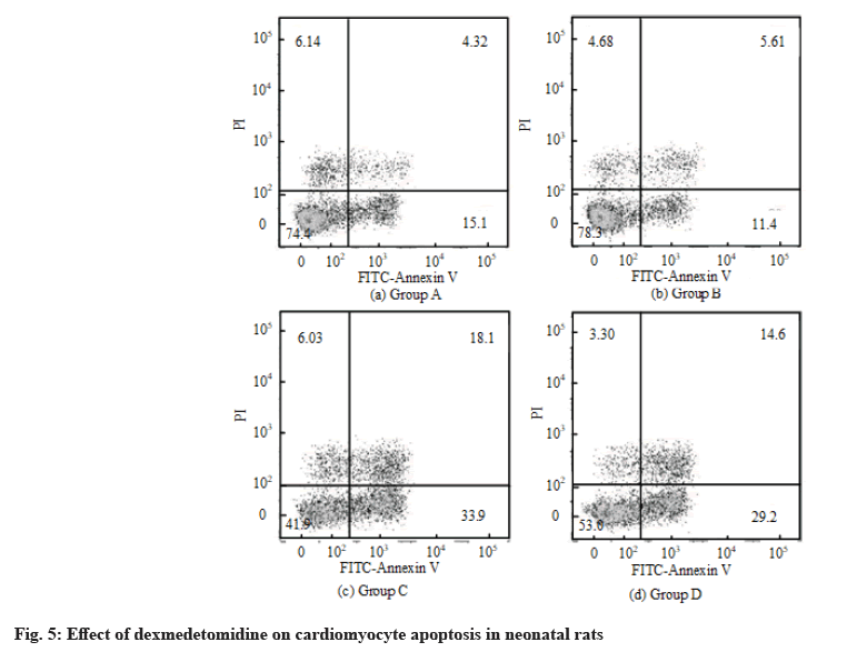 IJPS-dexmedetomidine