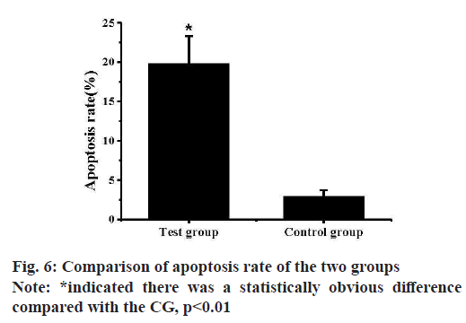 IJPS-difference