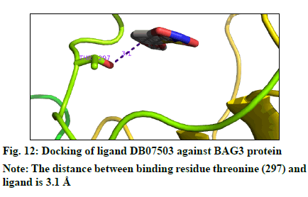 IJPS-docking