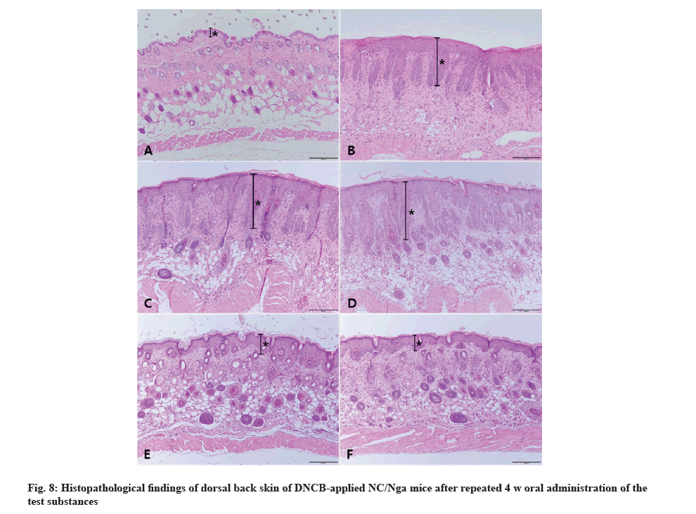 IJPS-dorsal