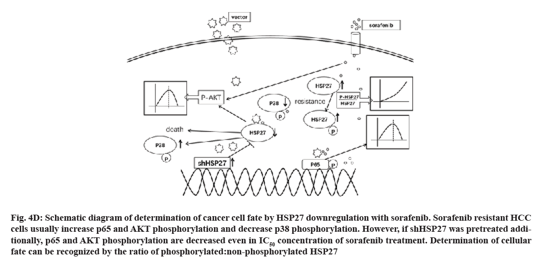 IJPS-downregulation