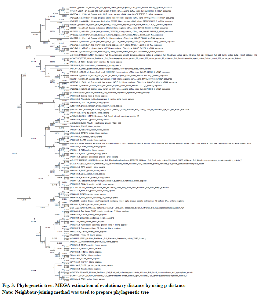 IJPS-evolutionary