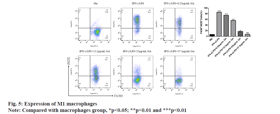 IJPS-expression