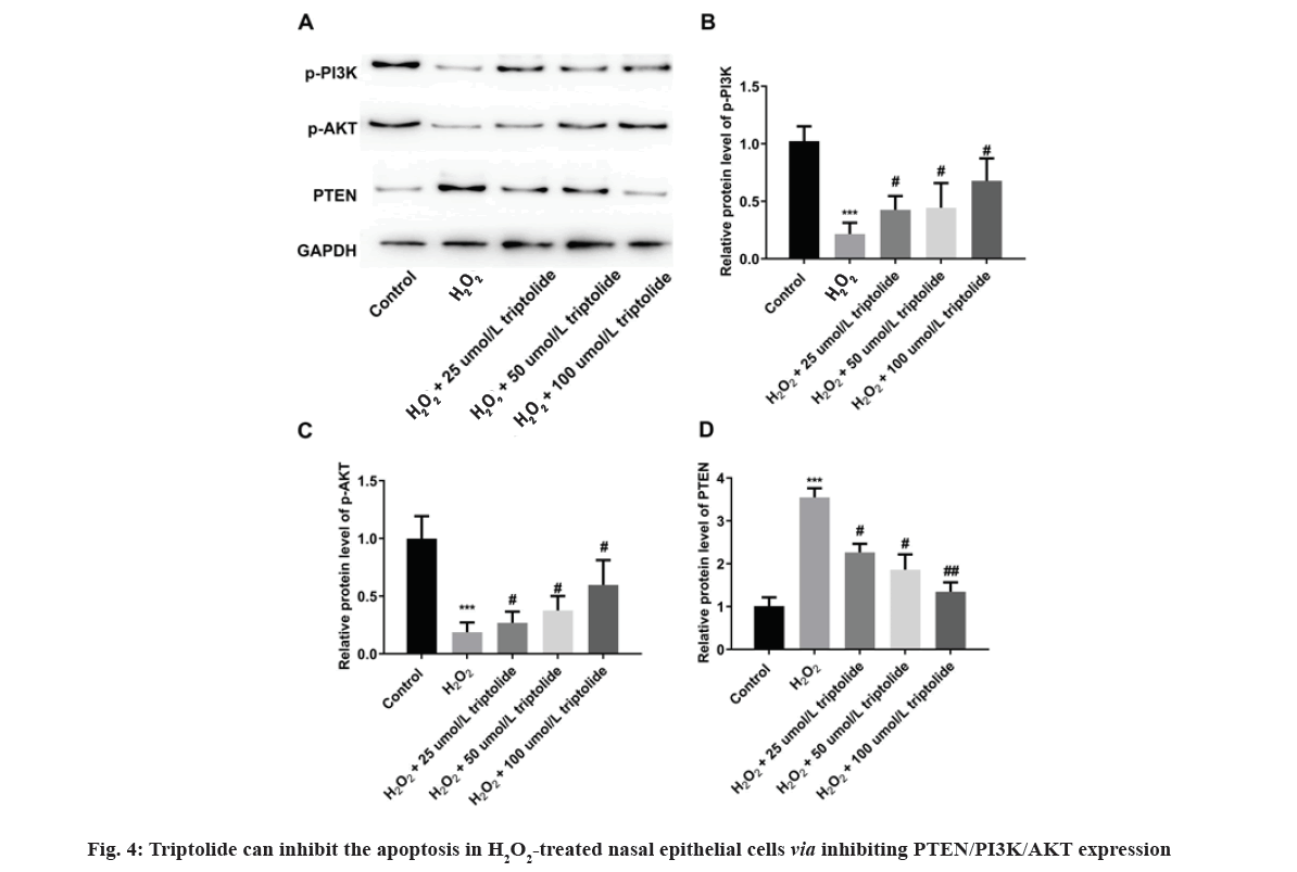 IJPS-expression