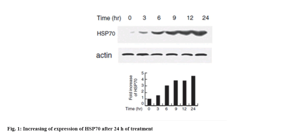 IJPS-expression