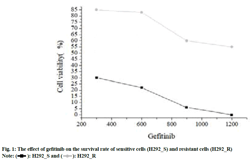 IJPS-gefitinib