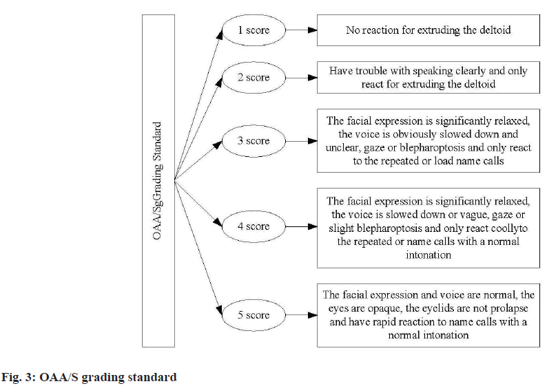 IJPS-grading