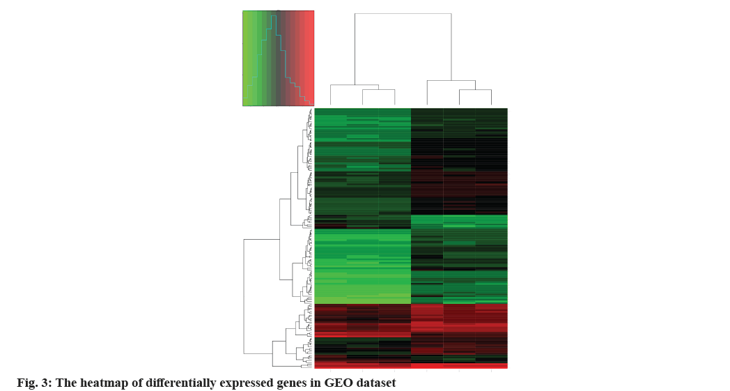 IJPS-heatmap