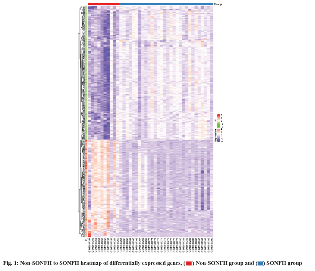 IJPS-heatmap