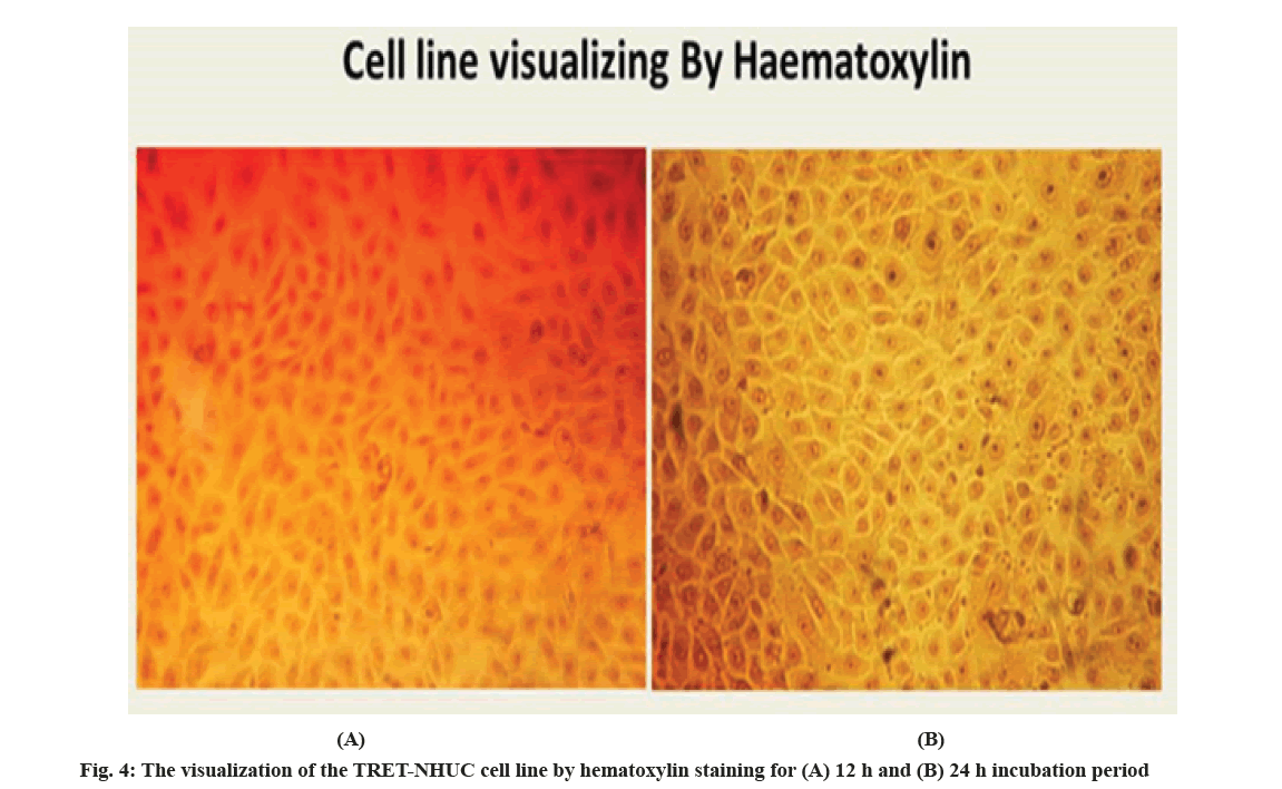 IJPS-hematoxylin