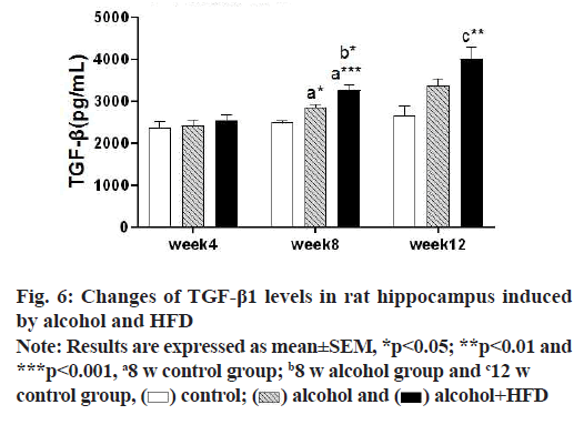 IJPS-hippocampus