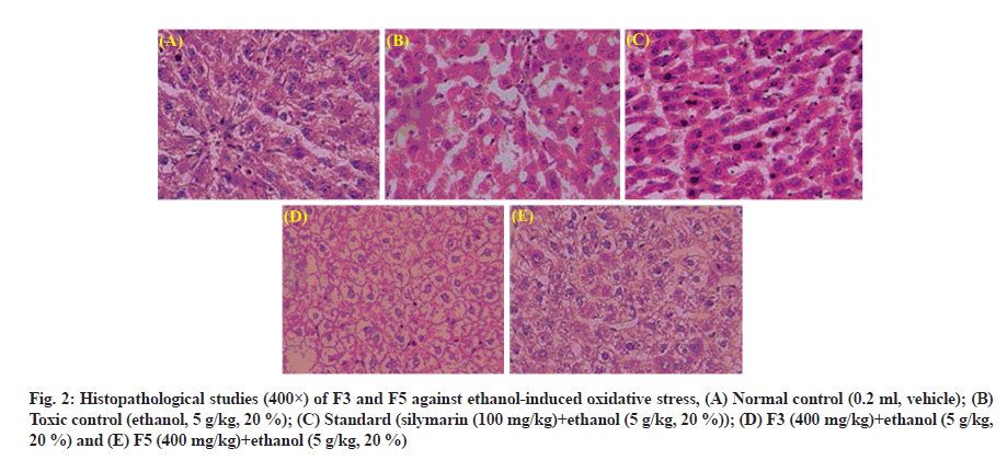 IJPS-histopathological