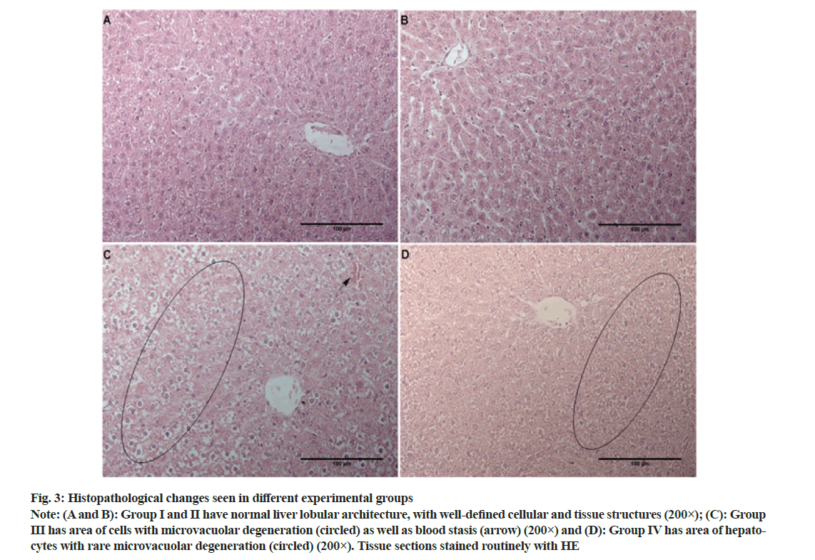 IJPS-histopathological