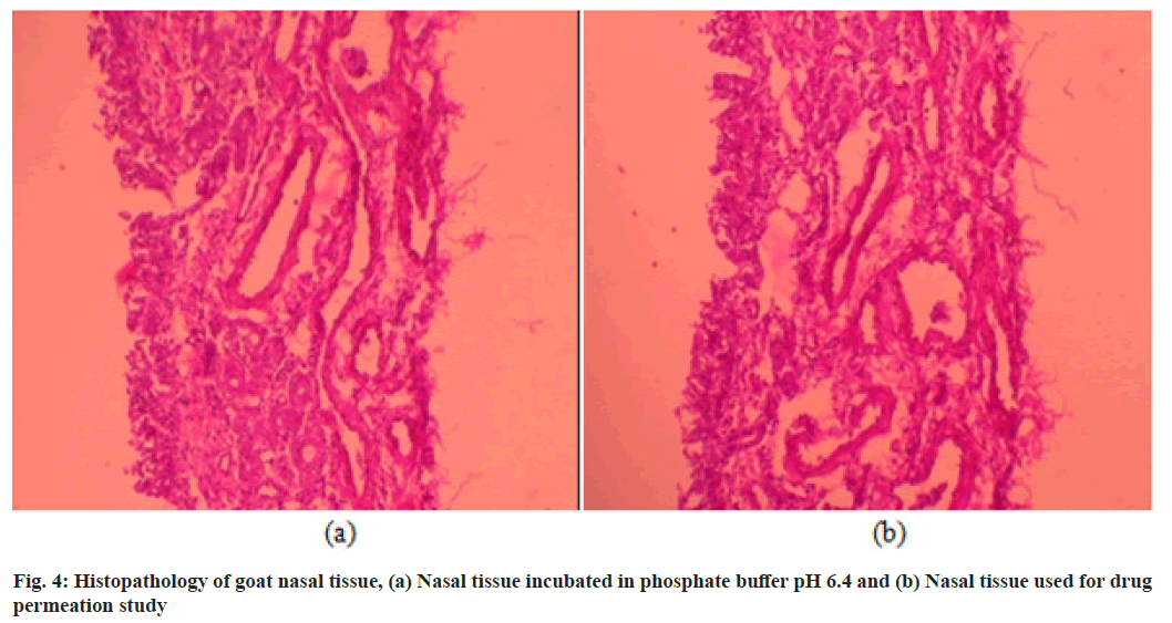 IJPS-histopathology